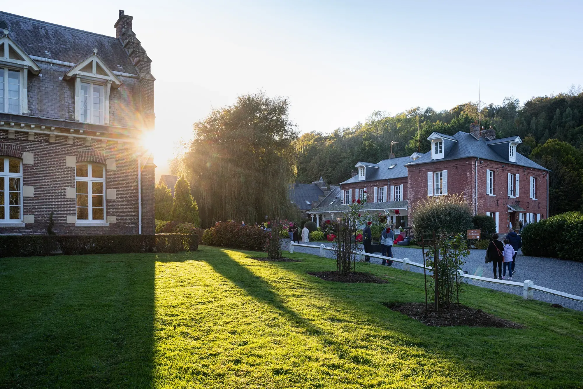Les pelouses du Domaine de Joinville au soleil rasant, les bâtiments en fond