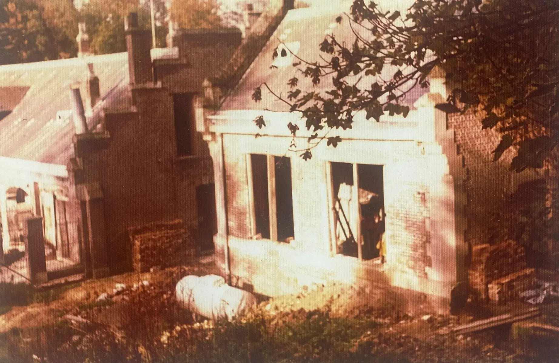 Photographie ancienne aux teintes sépia du bâtiment vu du parc