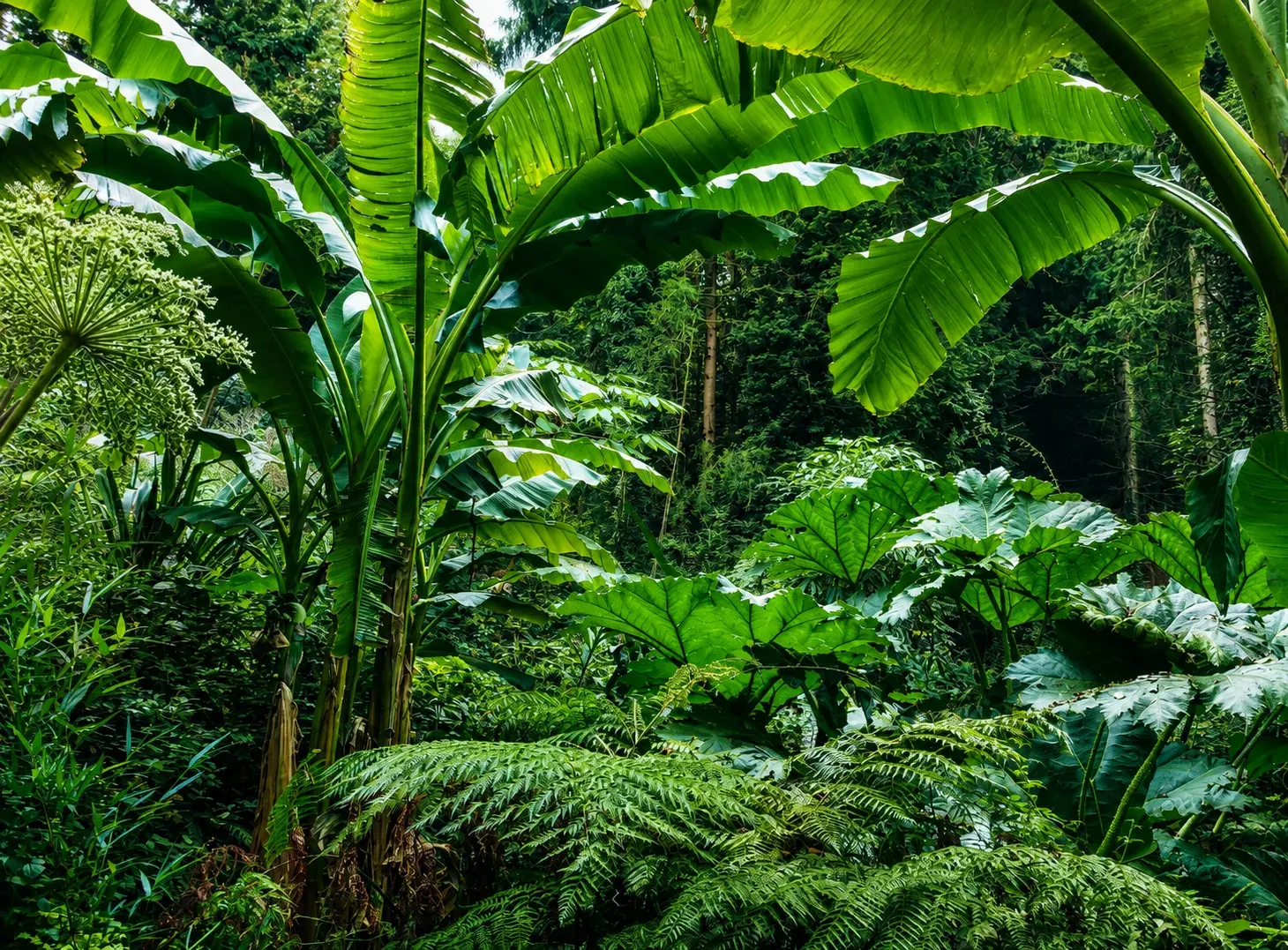 Le Jardin Jungle