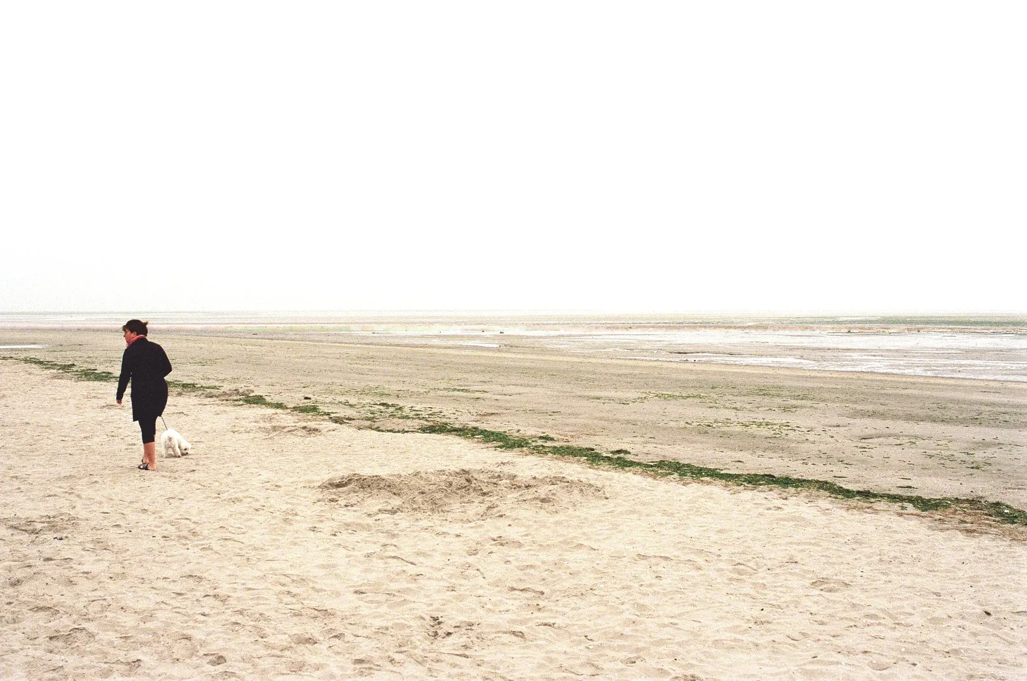 L’estran de la Baie de Somme à marée basse, au Crotoy